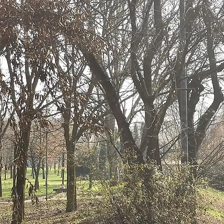 Casa Pinu Bologna