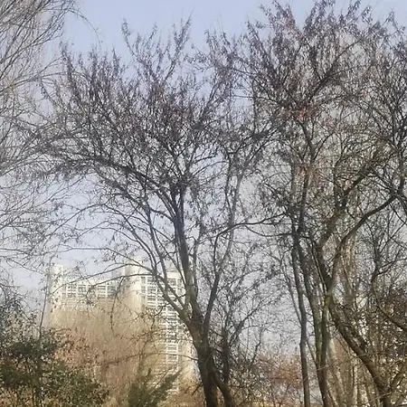 Casa Pinu בולוניה